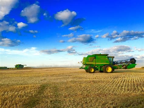 Wet Conditions Delay the Montana Wheat Harvest | Red River Farm Network