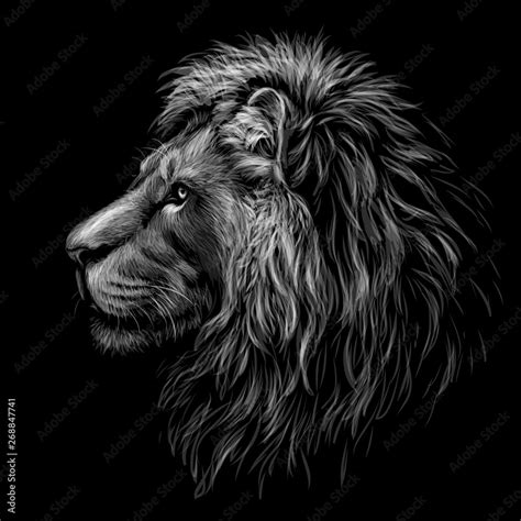 Black and white, graphic portrait of a lion's head profile on a black ...