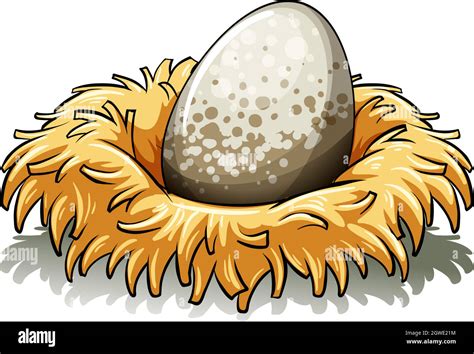 Anidar con un huevo Imagen Vector de stock - Alamy