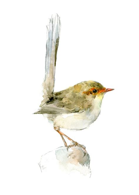 Wren Watercolor Painting Bird Watercolor Painting 5x7 Inch Print 0156 - Etsy