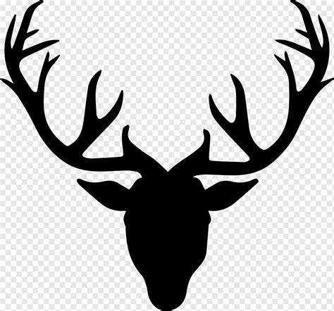 Deer Drawing, Reindeer, antler, mammal, head png | PNGWing