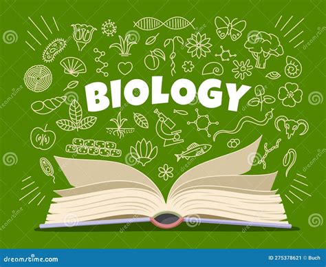 Biology Textbook, Symbols, Icons on School Board Stock Vector ...