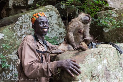 Baboon BBQ - The Hauns in Africa