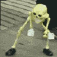 Dancing Skeleton GIFs - Find & Share on GIPHY