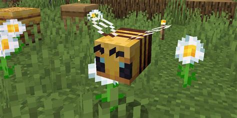 How to Find (& Harvest) Bees in Minecraft