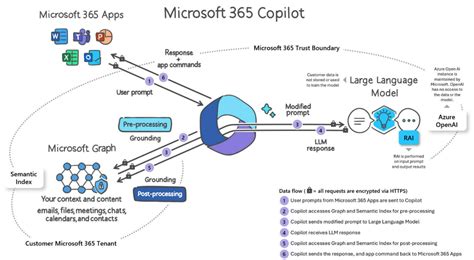 Copilot in Microsoft 365 – Support Tips – TheWindowsUpdate.com