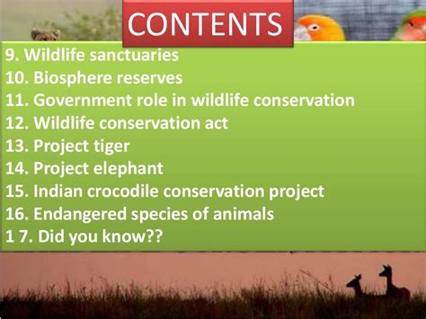 Wildlife conservation and its benefits