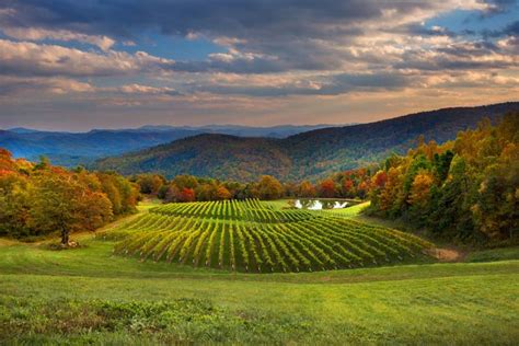 Hendersonville Wineries near Asheville