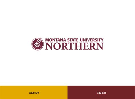 Montana State University Northern Lights and Skylights Brand Color Codes » BrandColorCode.com