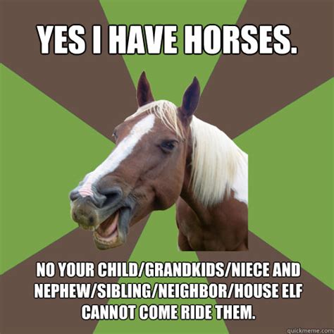 funny horse memes Archives - Sass In Boots