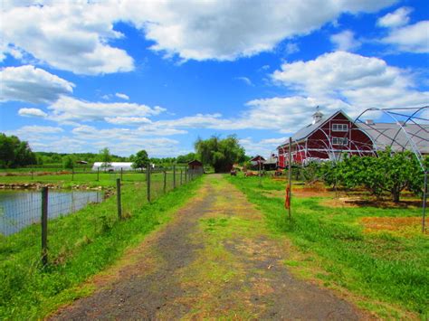 Our Visit to Terhune Orchards - Happyfamilyart