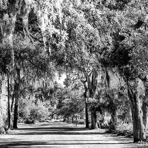 Garden of Good and Evil at Bonaventure Cemetery in Savannah Photograph ...