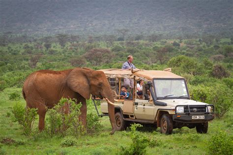 Samburu National Reserve | Kenya Wildlife Safari Destinations