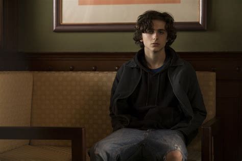 Timothee chalamet (beautiful boy 2018) | Beautiful boys, Timothee ...