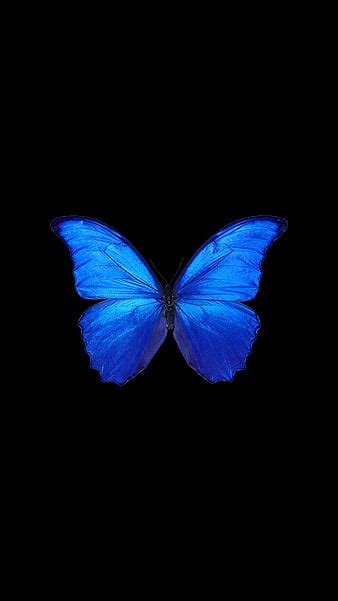 Get Fluttery with Our Stunning Butterfly Backgrounds for Phones ...