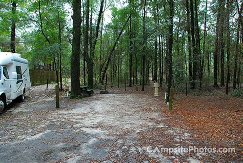 Suwannee River State Park - Campsite Photos, Info & Reservations