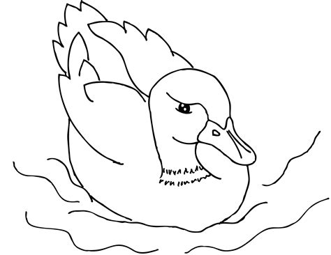 Duck Coloring Pages Photos – Animal Place