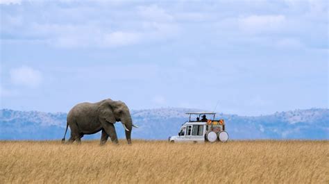 Africa Adventure Trips in 2024/2025 | Bookmundi