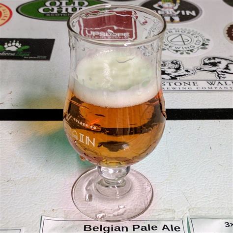 Belgian Ale - Belgian Pale Ale - Beer Recipes | Brewer's Friend