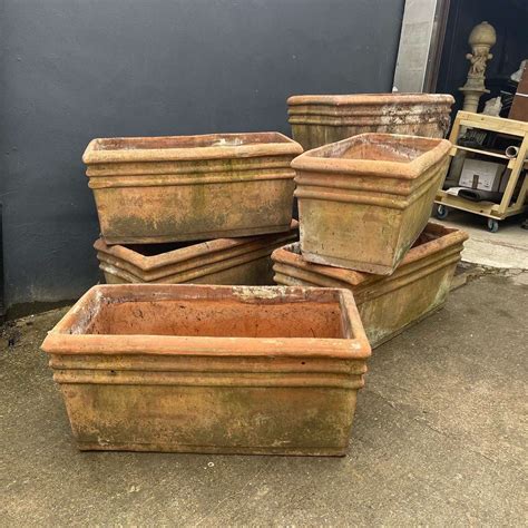 A Collection of x6 Large Rectangular Terracotta Planters