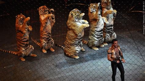 Ringling Bros. circus returning without animals - WWAYTV3