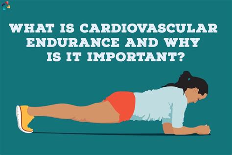 7 Essential Importance Of Cardiovascular Endurance | The Lifesciences ...