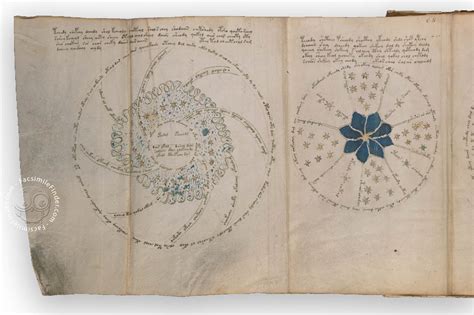 Voynich Manuscript Facsimile, Taking the World by Storm