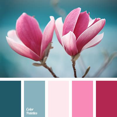 colour of fuchsia | Color Palette Ideas