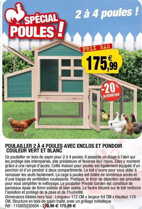 Promo Poulailler 2 à 4 Poules Avec Enclos Et Pondoir Couleur Vert Et Blanc chez Outiror ...