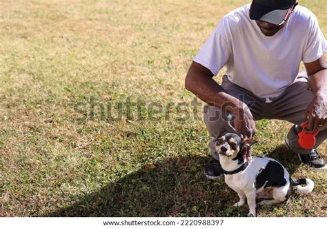 Black Man Walking Dog Stock Photo 2220988397 | Shutterstock