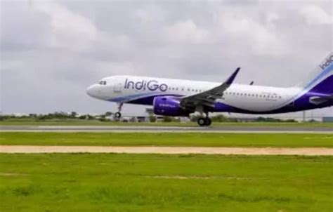 IndiGo commences operations from Hollongi airport, commences flights to ...