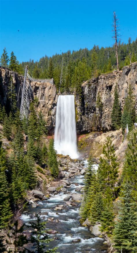 10 Amazing Waterfall Hikes In Oregon | Waterfall, Waterfall hikes ...