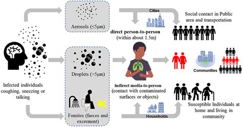 Frontiers | Community Transmission via Indirect Media-To-Person Route: A Missing Link in the ...