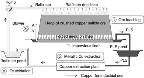 Simplified copper heap leaching process | Download Scientific Diagram