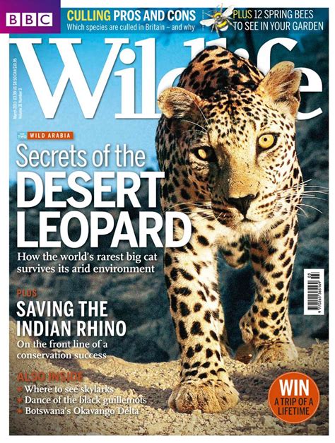 Bbc Wildlife March 2013 (Digital) - DiscountMags.com