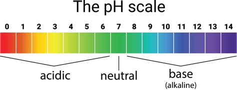 What Is The Ph Of A Neutral Solution