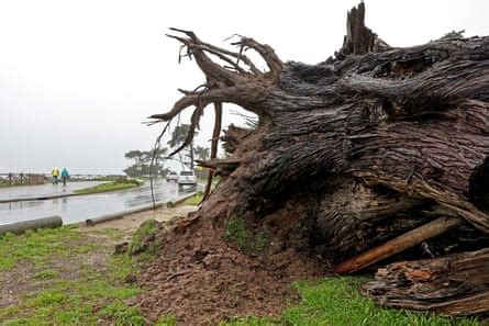 ‘Double-edged sword’: why the badly needed rains in California could fuel catastrophic fires ...