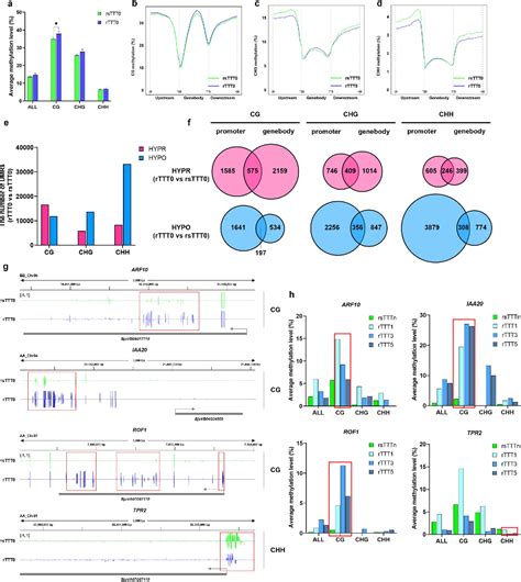 Figure 5 from The role of DNA methylation in the maintenance of ...