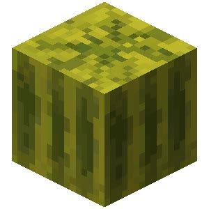 Melon Block | Hypixel SkyBlock Wiki | Fandom