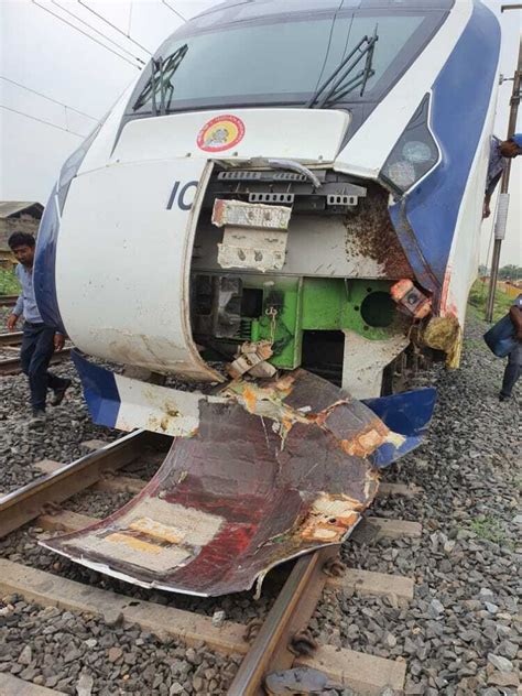 Vande Bharat Express Accident: FIR Against Owners Of Buffaloes Hit By Train - odishabytes