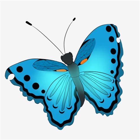 Mariposas Png Animadas Dibujos Animados De Mariposa Descargar Png Svg | The Best Porn Website