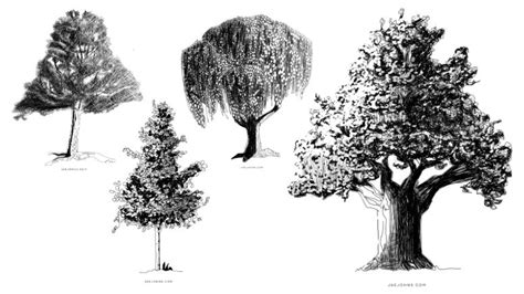 How to Draw Realistic Trees Like a Pro - Jae Johns