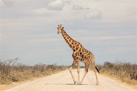 ROAD TRIP: Namibia - Beyond Horizons Adventures