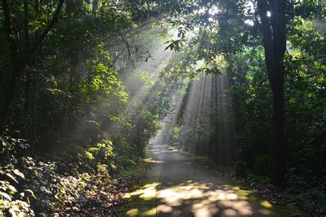 Cuc Phuong National Park - 8 highlights & how to get there