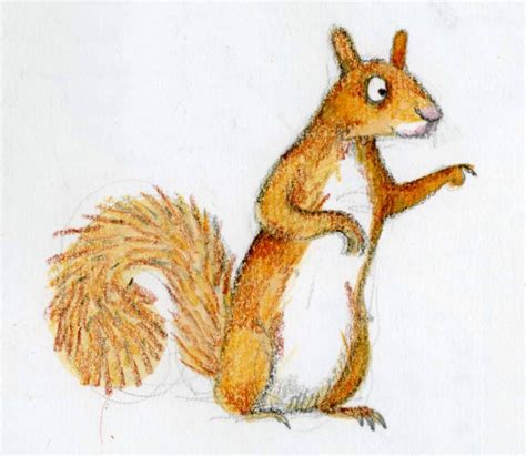 Emily Gravett | Squirrel art, Squirrel illustration, Fox squirrel