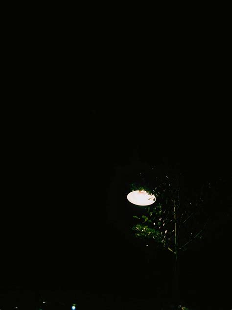 Free stock photo of dark green, lamp, light