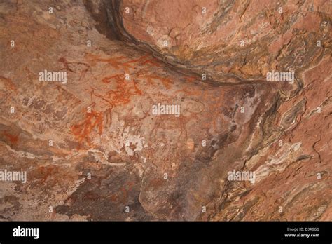 Close-up of a cave paintings showing men with animals, Bhimbetka Rock Shelters, Raisen District ...