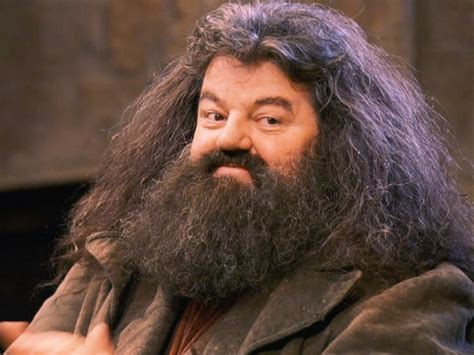 Rubeus Hagrid by Robbie Coltrane | harry potter | Pinterest