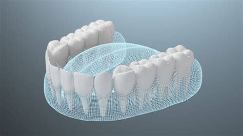 Arcada dentária: como é formada e quais os cuidados se ter