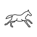 2 free running horse outline side view icons | tag | Icon Ninja